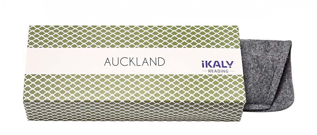  Men's Reading Glasses - AU_C2_250 - injected plastic (CP/TR90) - Anti-blue light -  blueblock pre-mounted reading Optics - IKAL