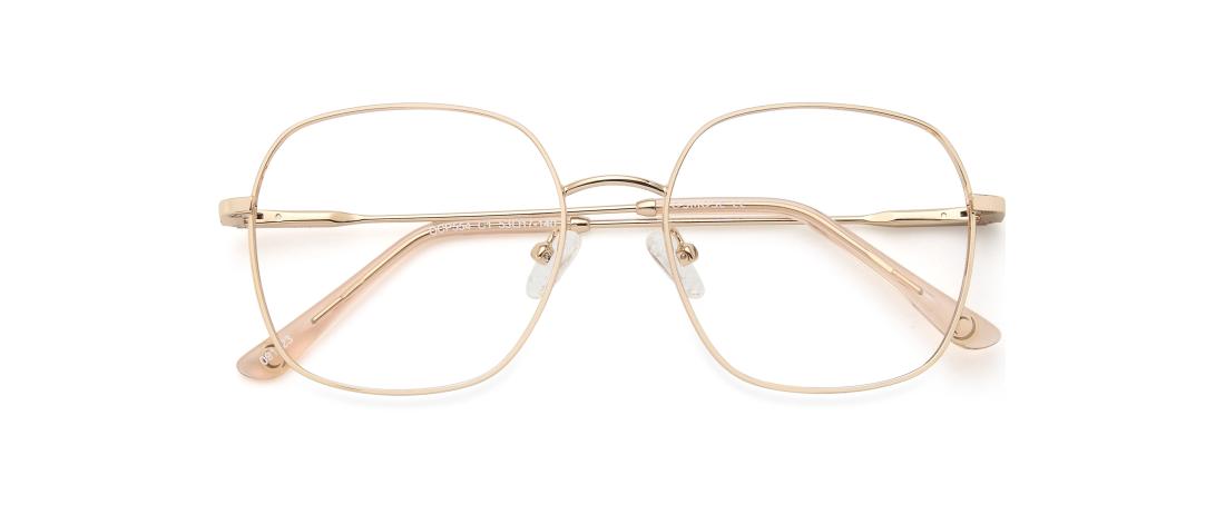 Montatura Occhiali da Vista Polar Clip  Donna - OCP554_C1 metallo - Octika